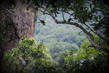 Yala National Park